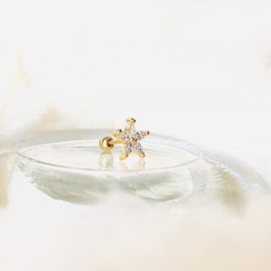 Piercing ETOILE DORE - PRINCESS TO LEND