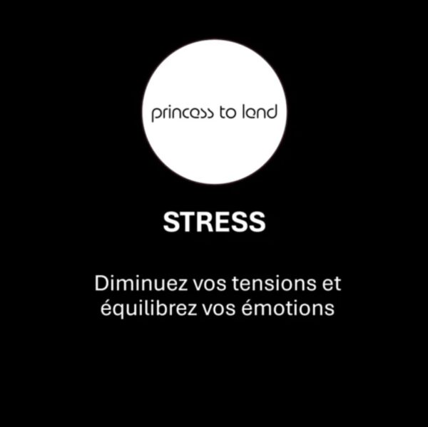 Pochette énergétique STRESS - By Princess To Lend – Image 2